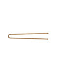 Item 319 Invisibles "Hair Set" - Ball Pointed - n. 21 - mm 46 - Plain Brown Cardboard Box of 500 gr