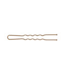 Item 329 Invisibles "Hair Set" - Ball Pointed - n. 24 - mm 51 - Waved Brown Cardboard Box of 500 gr